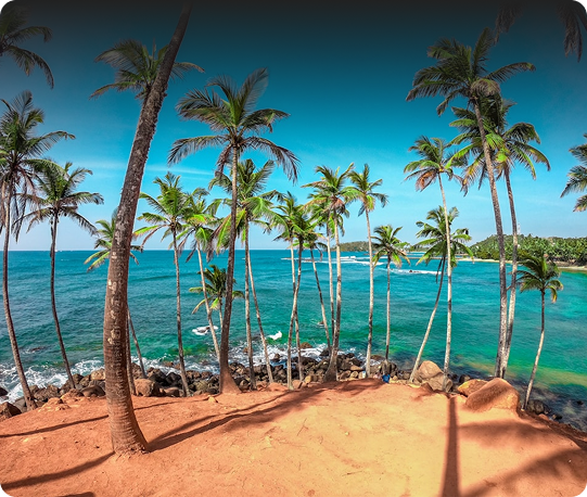 Mirissa Tour